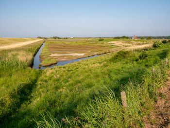 3 Tage am Strand von Zeeland