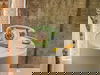 2 Tage im Nhow Amsterdam Rai 