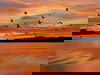 Special Mecklenburgische Seenplatte & Neustrelitz