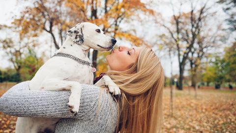 Wellness Wochenende mit Hund