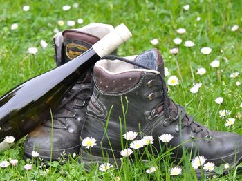 FRÜHLINGSER­WACHEN AN DER MOSEL 