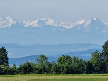 Geburtstagsüberraschung bei Heilklima im Schwarzwald