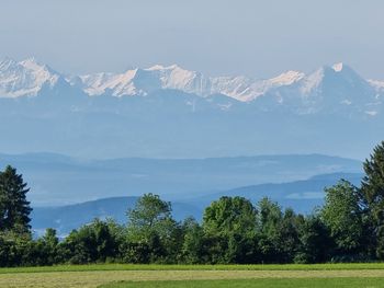 Verwöhnpaket für maximale Entspannung im Schwarzwald