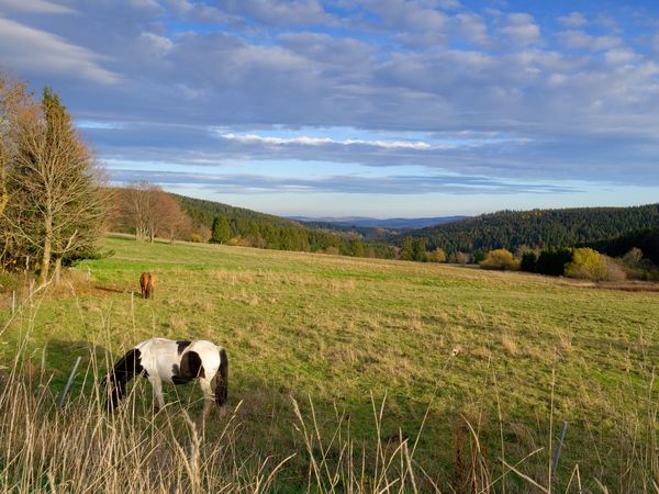 7 Tage im Hotel Kammweg am Rennsteig mit Frühstück in Neustadt am Rennsteig, Thüringen inkl. Frühstück