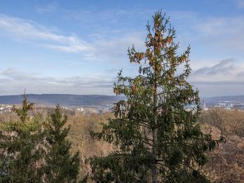 6 Tage Kurzurlaub im Naturparadies Arnsberg