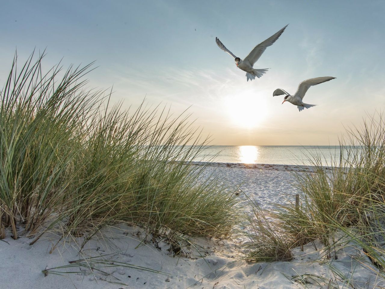 Ostsee und Wellness - 7 Tage Warnemünde mit Frühstück