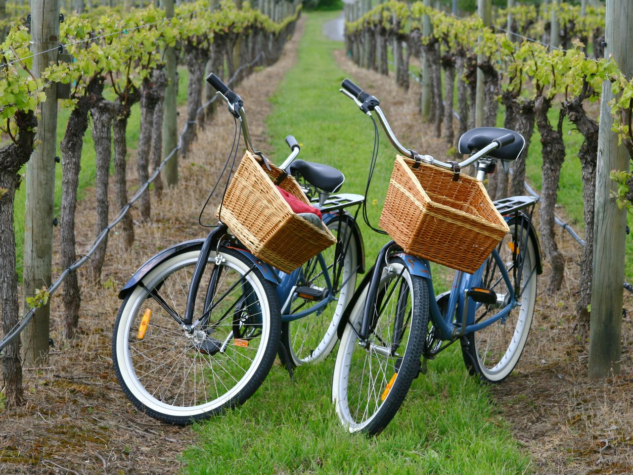 Weingut Heinrich Basten
