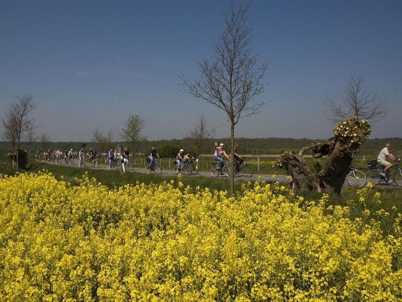 8 Tage in der Residenzstadt Güstrow mit Frühstück