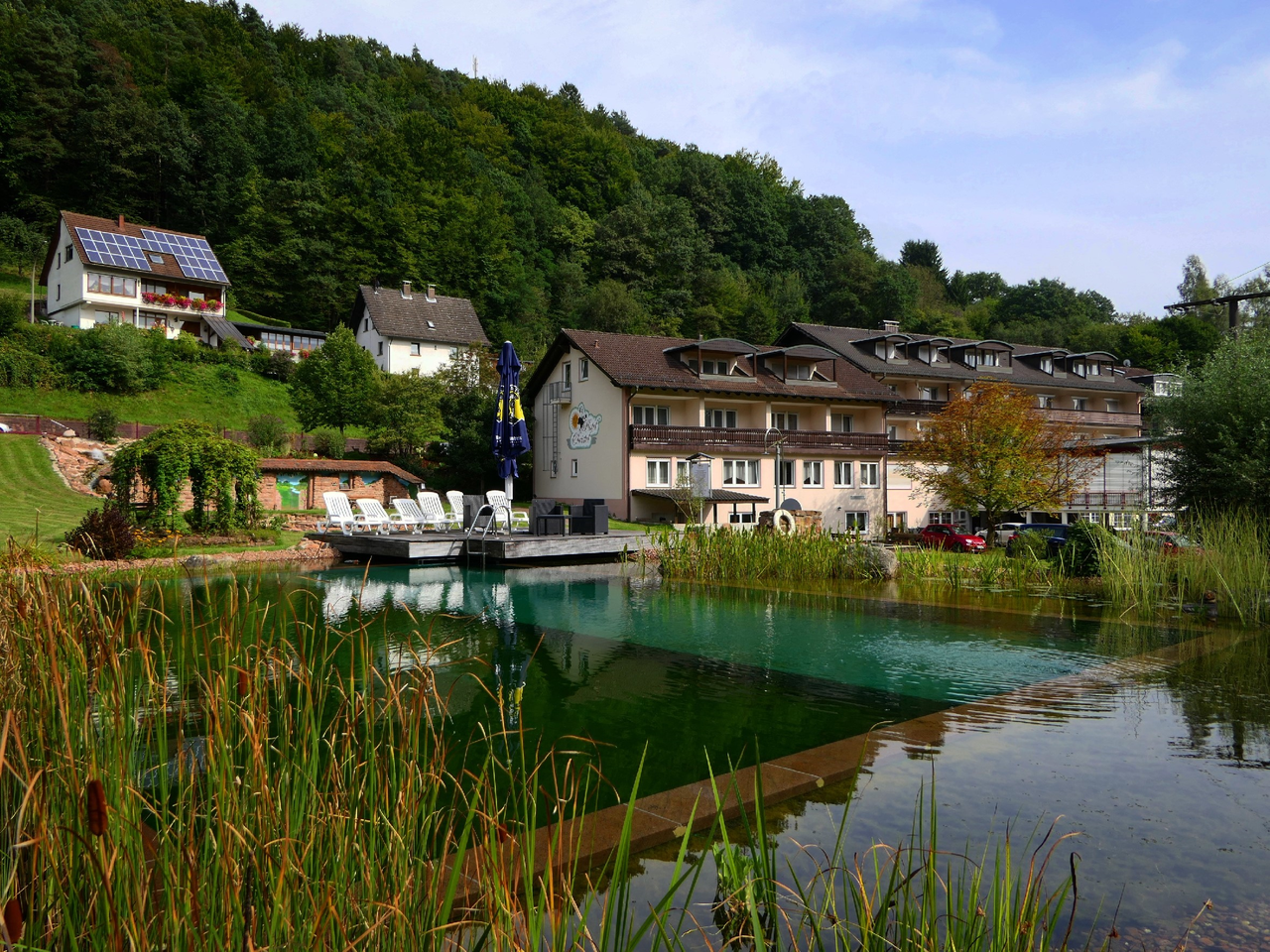 Tagesarrangement im Spessart