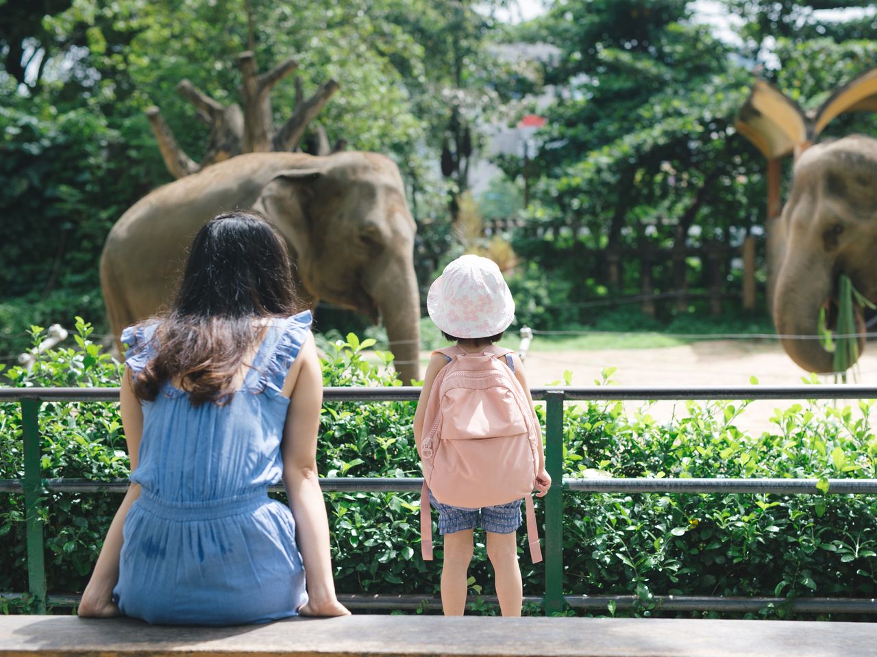 3 Tage Erlebnisse und Spaß im Zoopark Erfurt