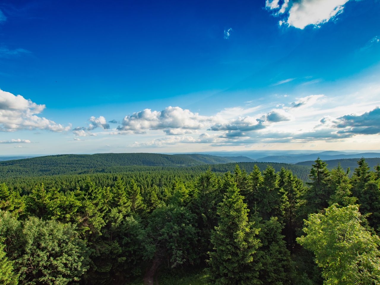 Ihre Auszeit im Thüringer Wald - 8 Tage Vollpension