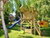 3 Tage Tiny House Erlebnis im Schwarzwald