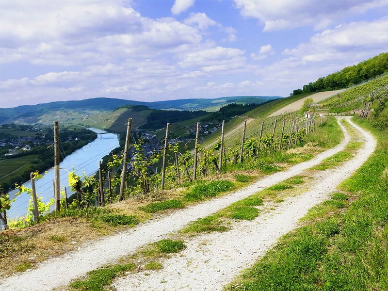 Stress-less, beflügelt Deine Seele (So-Fr)