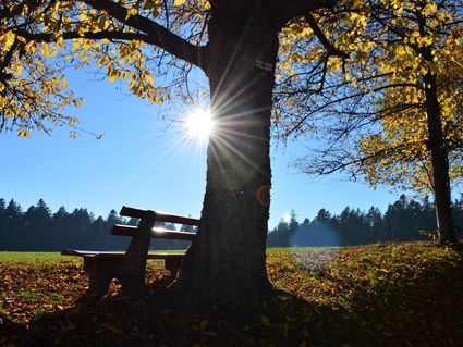 Verwöhntage - 5 Tage im Schwarzwald inkl. Abendmenü