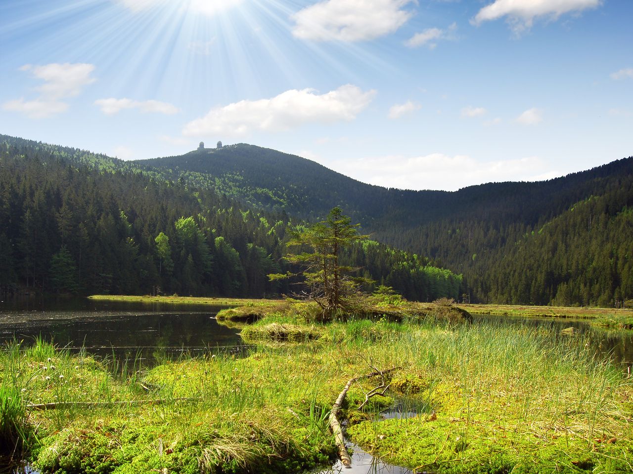 Für Naturliebhaber: 5 Tage Bayerischer Wald mit HP