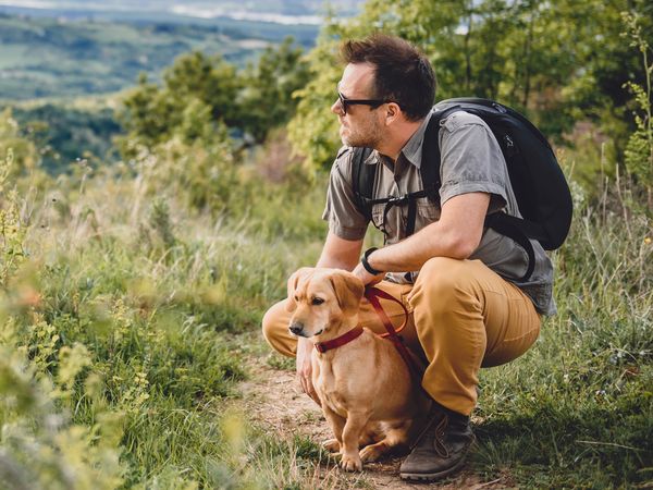 3 Tage Siegerland auf 4 Pfoten – 2 Nächte in Siegen, Nordrhein-Westfalen inkl. Halbpension