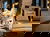 99er Deal: 3 Tage Bergisches Land mit Zimmerupgrade