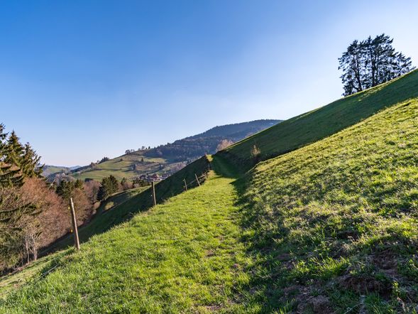 2 Tage Kurzurlaub mit Frühstück im Hotel Schwarzmatt