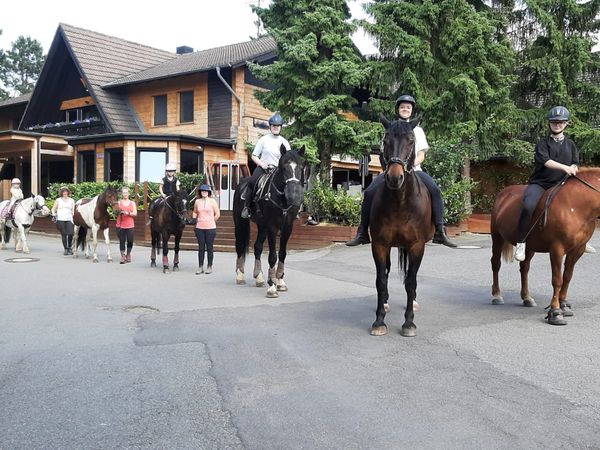 3 Tage Auf leisen Hufen durch den Wald in Bad Harzburg, Niedersachsen inkl. Halbpension