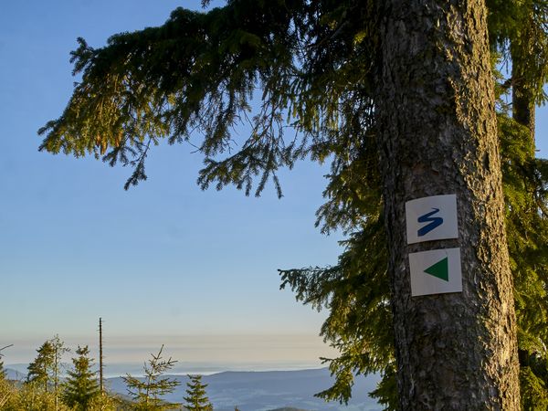 Hoamatgfui – 4 Tage Bayerischer Wald in Lam Halbpension