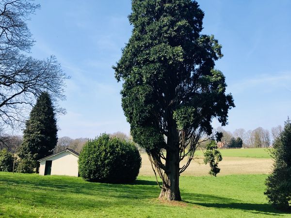 3 Tage Panoramahotel Gelderland – Natur & Auszeit pur in Berg en Dal inkl. Halbpension