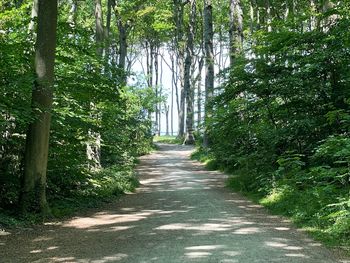 Ausgedehntes Wochenende an der Ostsee / 4 Tage