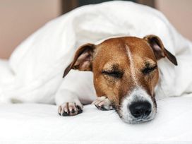 Ruhrgebiet erleben! - 2 Tage Bochum mit Frühstück