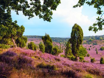 Winterurlaub in der Heide