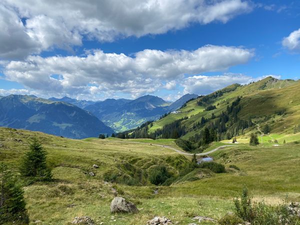 2 Tage Familienzeit, kurze Auszeit im Bregenzerwald in Au (Vorarlberg)