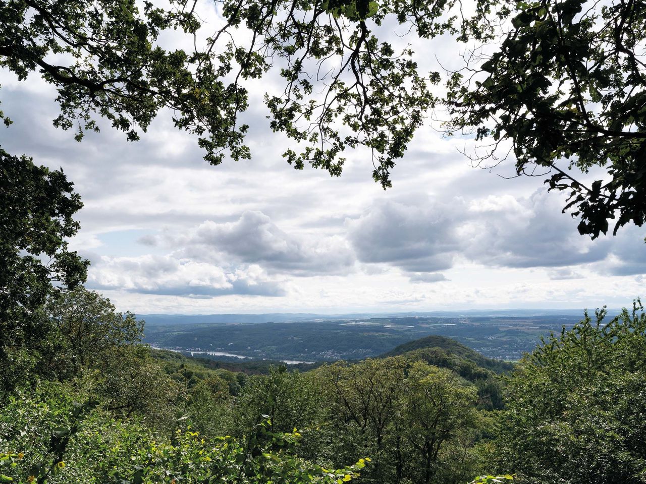 Ahoi....Rheinschifffahrt ab Bad Honnef - 3 Tage