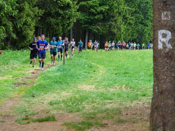 Rennsteiglauf - Ihr All-Inclusive Angebot