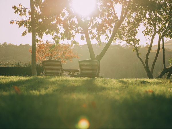 2 Tage Kulinarisches Wochenende in Niederhausen (Nahe), Rheinland-Pfalz inkl. Halbpension