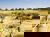 4 Tage Urlaub in Bibione mit HP