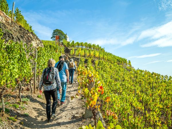 5 Tage Seele baumeln lassen im Hotel Garni am Seggauberg in Leibnitz, Steiermark inkl. Frühstück