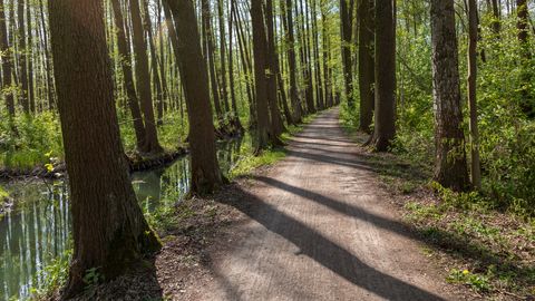 Gurkenradweg
