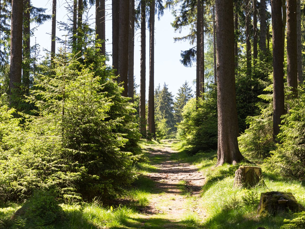 5 Tage Wandern zwischen Taunus und Wetterau