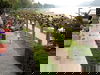 3 Urlaubstage am Rhein, inkl. Halbpension