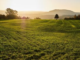 Auszeit 7 für Nächte in Oberwiesenthal am Fichtelberg