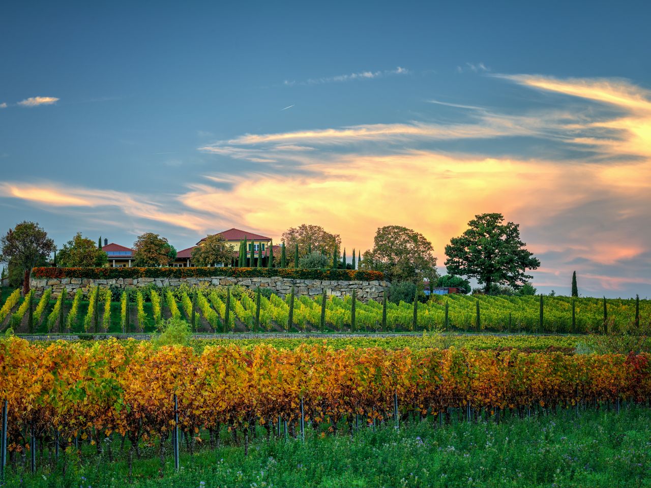 Romantik pur in der Pfalz