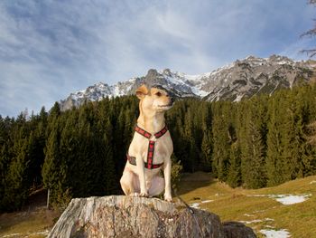 Auf ins Salzkammergut - 6 Tage Berge pur