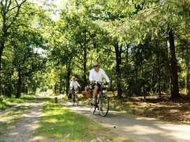 Niederlande: 3 Tage-Angebot Hansestadt Harderwijk auf der Veluwe