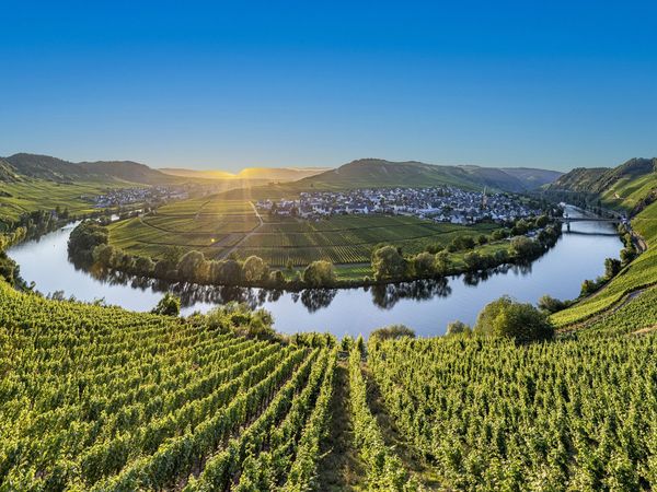 Silvesterzauber im malerischen Ruwertal in Mertesdorf, Rheinland-Pfalz Halbpension