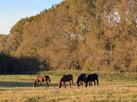 5 Tage Naturerlebnis Teutoburger Wald mit HP