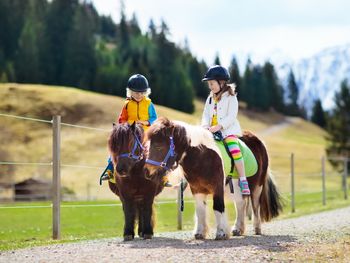 Familienauszeit im Bayerischen Wald - 3 Nächte