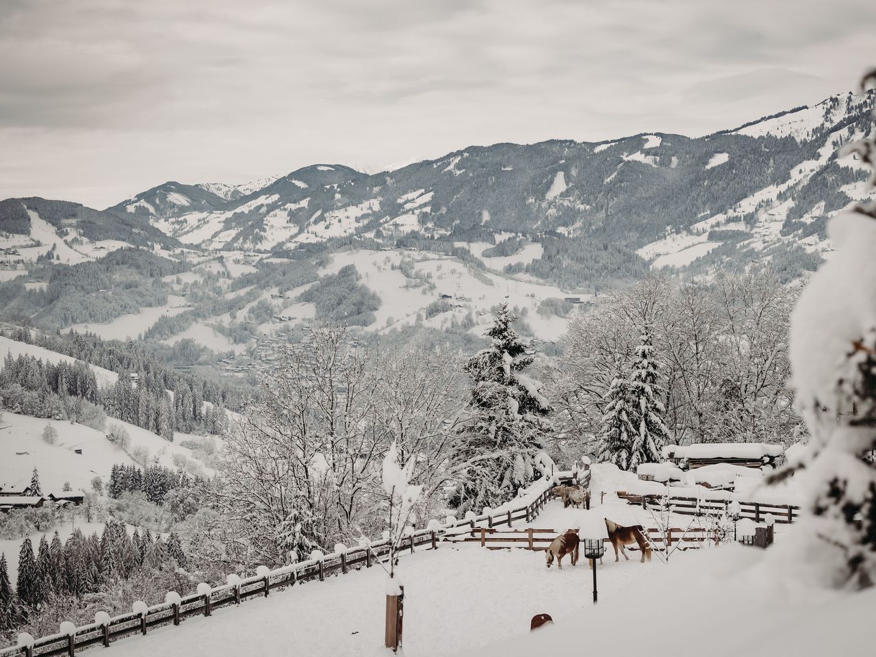 Familienurlaub & Bauernhoferlebnis im Salzburger Land