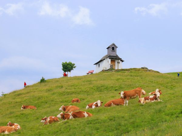 50 Meter zur Bergbahn - 4 Tage in der Wildschönau, Tirol inkl. Halbpension