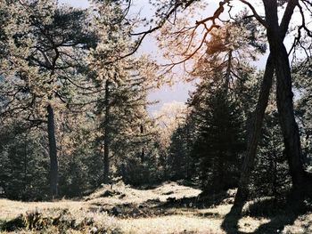 Bild 209 von 289