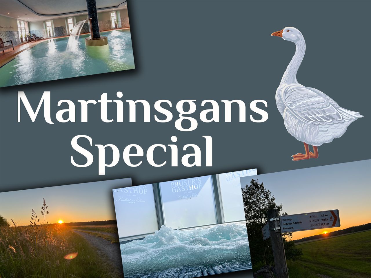 Martinsgans-Special