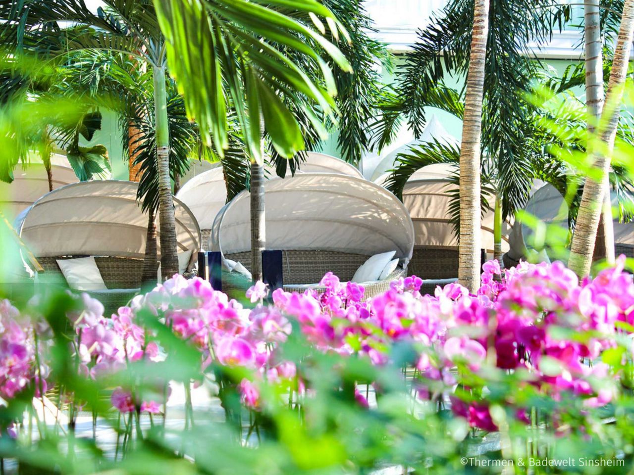 7 Tage Auszeit in der Thermen & Badewelt Sinsheim