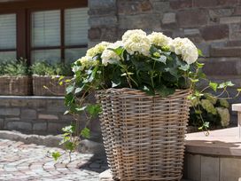 Tirol. Zillertal. Alpenblick. 3 Tage reinster Urlaub